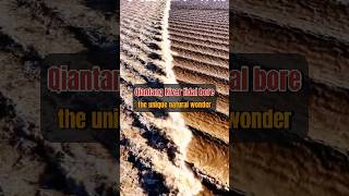 Qiantang River tidal bore  The unique natural wonder travel china shorts [upl. by Worthy]