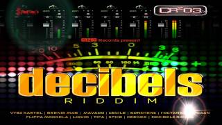 Decibels Riddim MIXJune 2013  Zj ChromeCr203 Records [upl. by Aikrahs]