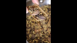 How to Make Garam Masala Spice Mix [upl. by Lyrac]