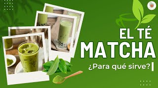 El TÉ MATCHA ¿Para qué Sirve Beneficios [upl. by Gildea]