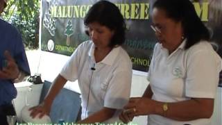 MALUNGGAY COFFEE AND TEA MAKING [upl. by Arihay]