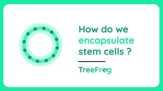 CStem™ How do we encapsulate stem cells I TreeFrog Therapeutics [upl. by Jaco435]