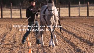 Long Reining with Double Dan Horsemanship [upl. by Can]