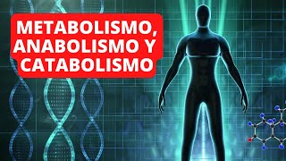 Metabolismo anabolismo y catabolismo explicación diferencias y ejemplos👨‍🔬 [upl. by Arualana]