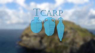 Tintagel Castle Archaeology Research Project  TCARP [upl. by Nosa]