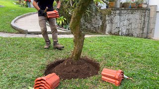 JARDIM RECICLADO Transforme o Lixo em Beleza 2 [upl. by Connell]