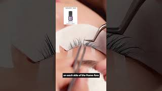 Natural lashextensions Set Tutorial ❤ Save this map shorts [upl. by Ohare]