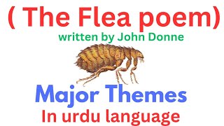 The Flea poem by John donne The flea poem major Themes Flea poem Themes with examples [upl. by Jack]