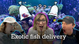 Aquarium Outfitters Exotic Fish Unboxing [upl. by Sakram]