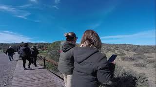 Punta TomboChubutReserva de Pingüinos [upl. by Geffner]