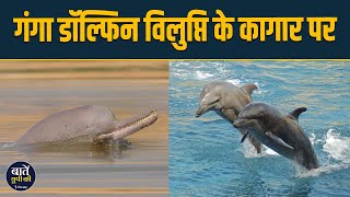 Why the Ganga Dolphin a rare species of dolphin is on the verge of extinction [upl. by Ambert]