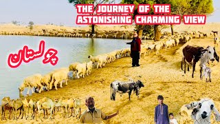 Journey Of The Astronishing Charming View  Cholistan Desert [upl. by Adnarom]