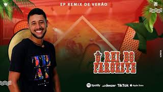 Sadomasoquista  Ep Remix De Verão  Feat Deize Tigrona  Arrochadeira Remix [upl. by Debora]