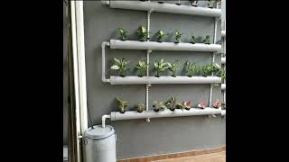 Hydroponics Setup At Home 48 Plants [upl. by Ricketts]