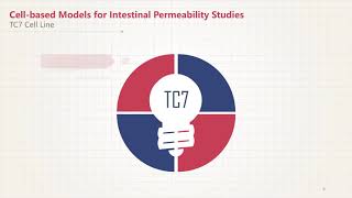 Comparison of Caco 2 with Other Cell based Models for Intestinal Permeability Studies [upl. by Marlen]