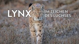 Der Luchs Ökologie und Kulturgeschichte  Wissenschaftlicher Vortrag [upl. by Ramad]