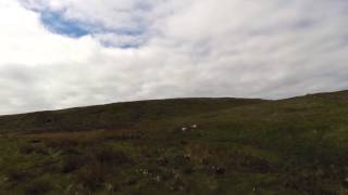 Lomond Hills [upl. by Lang]