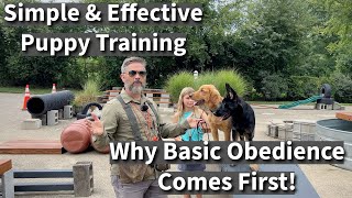 Simple amp Effective Puppy Training  Why We Focus On Basic Obedience First [upl. by Artemisa158]