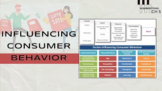 The Factors Influencing Consumer Behavior [upl. by Treulich965]