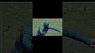 Cricketers dancing in ground pt 1 cricket shortsfeed [upl. by Outlaw]