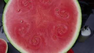 Juicing limes lemons amp watermelons limejuice lemonjuice watermelonjuice namaj2juicer [upl. by Notsew954]