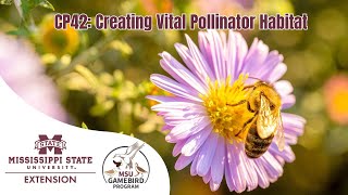 CP42  Creating Vital Pollinator Habitat [upl. by Sulohcin]