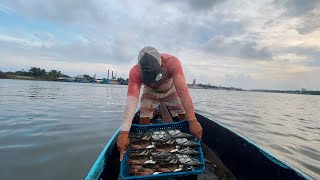 CARNADA COCIDA PARA EL MARLIN CHIMUELO [upl. by Frantz432]