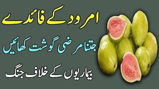 Guava Benefits in Urdu  Best Health Tips  Amrood Ke Faide [upl. by Bearnard]