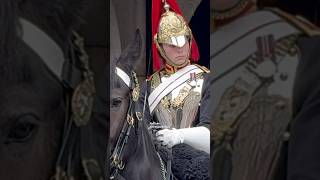 King’s Guards Kind Gesture to a Young Tourist [upl. by Gale]