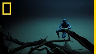 Experience the Underwater World Through the Eyes of a Free Diver  Short Film Showcase [upl. by Anthony]