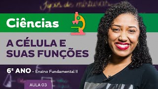 A célula e suas funções – Ciências – 6º ano – Ensino Fundamental [upl. by Losse]