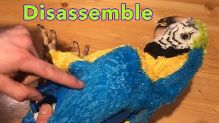 How to take apart Squawkers Mccaw Parrot Furreal Friends [upl. by Saucy]