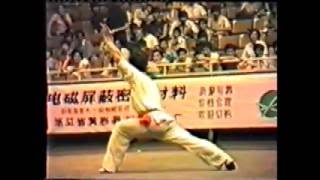 A Tribute To Luo Jing  Wushu  Old School [upl. by Uhthna]