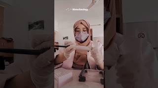 biotechnologist biotechnology foryou trend hijabistyle laboratory lab shortsviral shorts [upl. by Mailand]