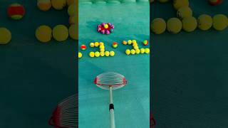 🎾🎾 Rapid Roll The Best Tennis Ball Collector smalleyes funny smallball sportsequipment [upl. by Eillas]