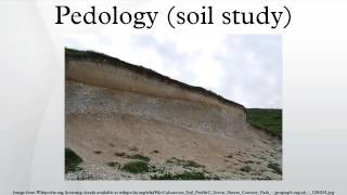 Pedology soil study [upl. by Ahsratan]