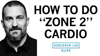 How amp Why to Get Weekly quotZone 2quot Cardio Workouts  Dr Andrew Huberman [upl. by Nnasor874]