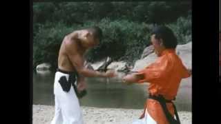 quotShaolin Drunken Monkquot 1982 Final Fight  Gordon Liu vs Eagle Han FOR PROMO ONLY [upl. by Jodi]