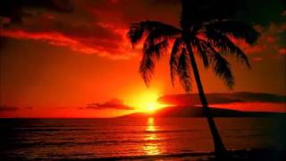 Musicas Havaianas Hawaii Aloha Hawaiian Music [upl. by Weisburgh]