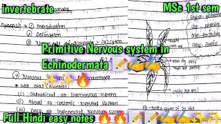 primitive nervous system in Echinodermata 🔥🔥with easy tricks Hindi easy notes 📝📝📝🔥🔥🔥 [upl. by Castle]