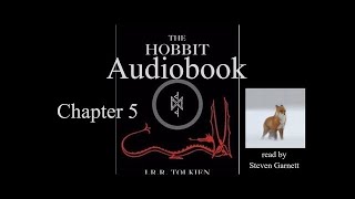 The Hobbit Chapter 5  audiobook  ASMR relax sleep [upl. by Gallenz]