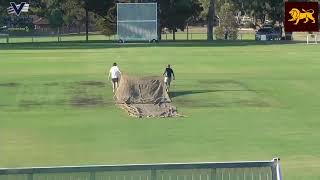 Vic Prem Cricket  Kookaburra Mens Seconds  Semi Final  Fitzroy Doncaster v Northcote  Day 1 [upl. by Assirem655]