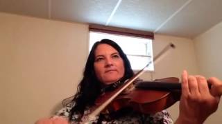 Day 171  St Annes Reel  Patti Kusturoks 365 Days of Fiddle Tunes [upl. by Sunday]