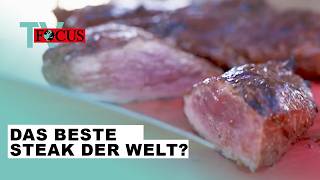 Wer grillt das beste Steak der Welt Die GrillWM in Stuttgart  Focus TV Reportage [upl. by Lauraine556]