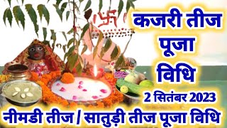 कजरी तीज पूजा विधि  kajari Teej Puja vidhi 2024 [upl. by Asille101]