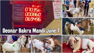 Deonar Bakra Mandi 2024 June 7 Vlog Day 3 by Arsheen and Fahad Empire Goat Yard [upl. by Lorenzo]