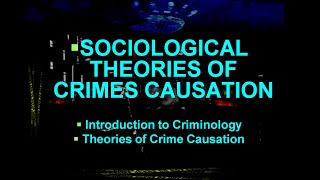 Sociological Theories of Crime Causation  Introduction to Criminology  Theories of Crime Causation [upl. by Eoj159]