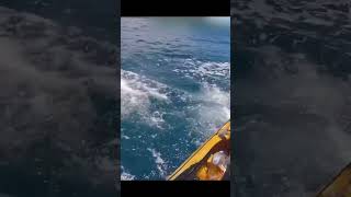 Shark attacks fisherman 😱 foryou fishing shark [upl. by Asiek140]