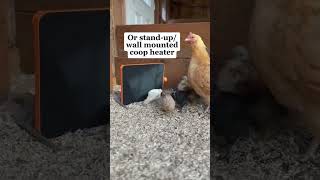 Got our chicken coop an upgrade with this best chicken coop heater this chilly winter chicken [upl. by Rettke916]