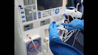 How to start a Dialysis Machine  Eco Priming Fresenius 4008S [upl. by Borchert430]